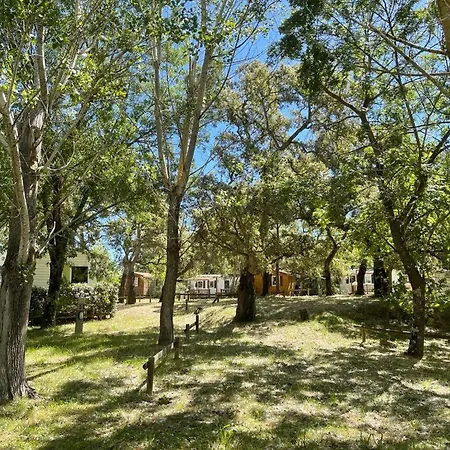 Camping Cupulatta Campsite 3*