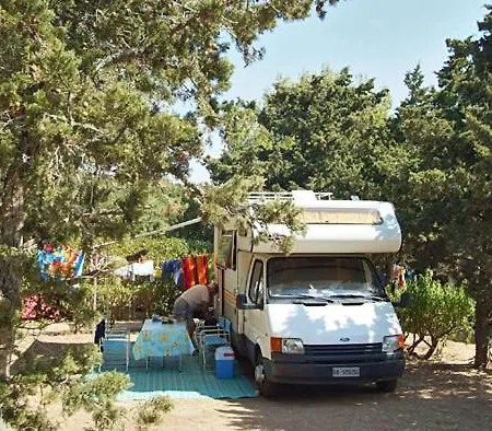 Kemp Camping Cupulatta